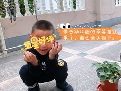 -徐汇区陇龙幼稚园
