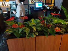 -半秋山西餐厅(襄阳万达店)