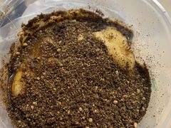 -继红顺河抄手名小吃