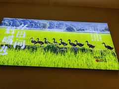-杨厨的田园饭店(长城路店)