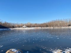 -吉林大学(前卫南区)