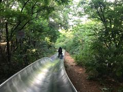 -富斯特索道