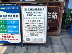 -西双版纳原始森林公园