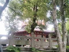 -绳金塔