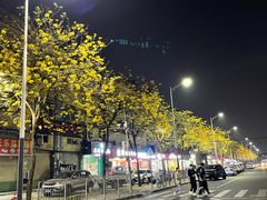 -聚龙山公园