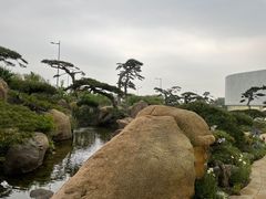 -罗红摄影艺术馆