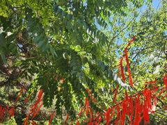 -天津盘山风景名胜区