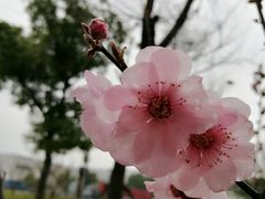 -联东U谷(恒永路)