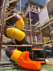 -卡通尼·Safari非洲探索乐园·生日会(金桥国际商业广场店)