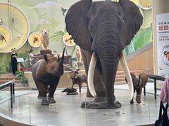 -陕西自然博物馆