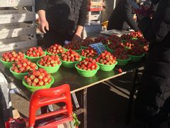 -三旗百汇商品城