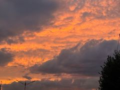 -马白开来特色羊排揪片子  (总店)