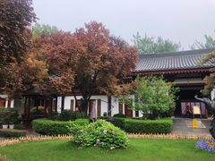 -大唐博相府酒店·陕西官府菜