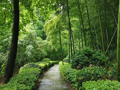 -兰亭风景区