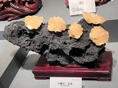 -湖南省地质博物馆