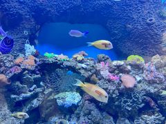 -横店影视城梦幻谷园区