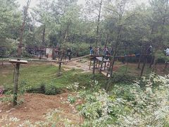 -梦幻奥陶纪景区