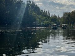 -共青国家森林公园-南大门停车场