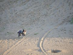 -库伦旗银沙湾旅游景区