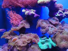 -上海海昌海洋公园