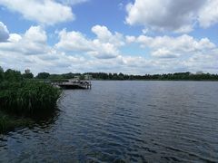 -蒲河岛湿地公园