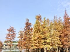 -白鹭湾湿地公园