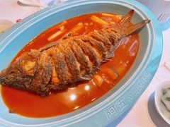 -阿五黄河大鲤鱼(英协路店)