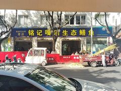 -铭记嘎洒生态鳝鱼(迎春街店)