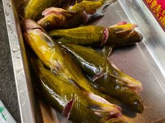 -荣德灶台鱼(圣泉寺店)