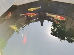 -西安市广仁寺