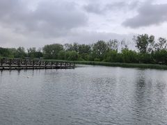 -溱湖国家湿地公园