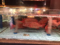 -阿伟海鲜楼·福建菜(延寿店)