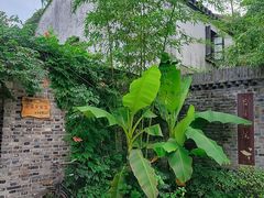 -田园东方蜜桃村的田野营地