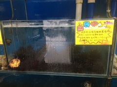 -蚝专家(北滘店)