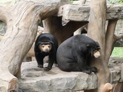 -北京野生动物园