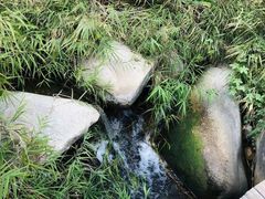 -碓臼峪自然风景区