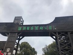 -溱湖国家湿地公园