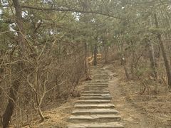 -西尖山公园