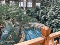 -国信南山温泉