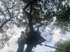 -芦仙山景区-飞越丛林探险乐园