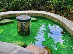 -英德宝晶宫天鹅湖茶语温泉