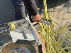 -三圣花乡旅游区