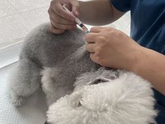 -申普宠物医院·眼科·心内科·影像科(普陀分院)