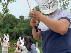 -昆山城市生态森林公园