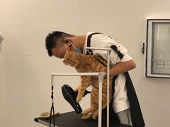 -comecome来吧宠物(奥克斯中心店)