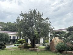 -河南省黄河迎宾馆