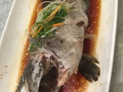 -宝燕壹号(徐汇店)