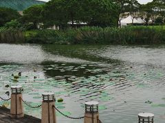 -新江湾城公园
