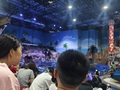 -华夏文旅海洋公园