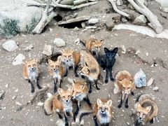 -宁波野生动物园